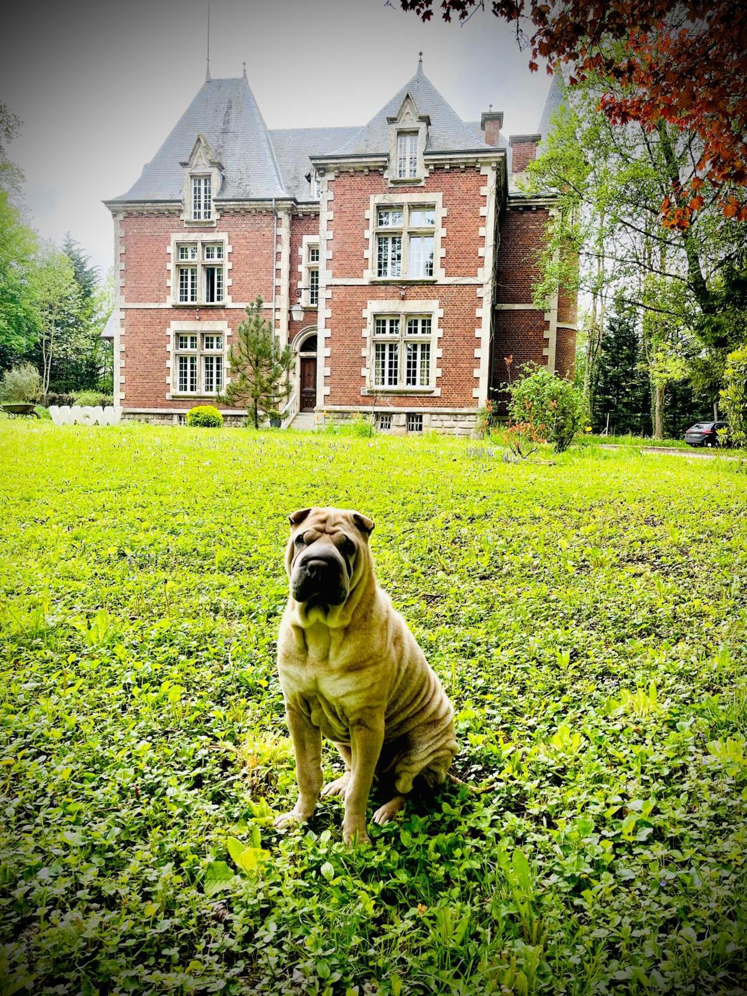 Domaine De La Croix De Saint Lambert Bed & Breakfast Poix-Terron Dış mekan fotoğraf